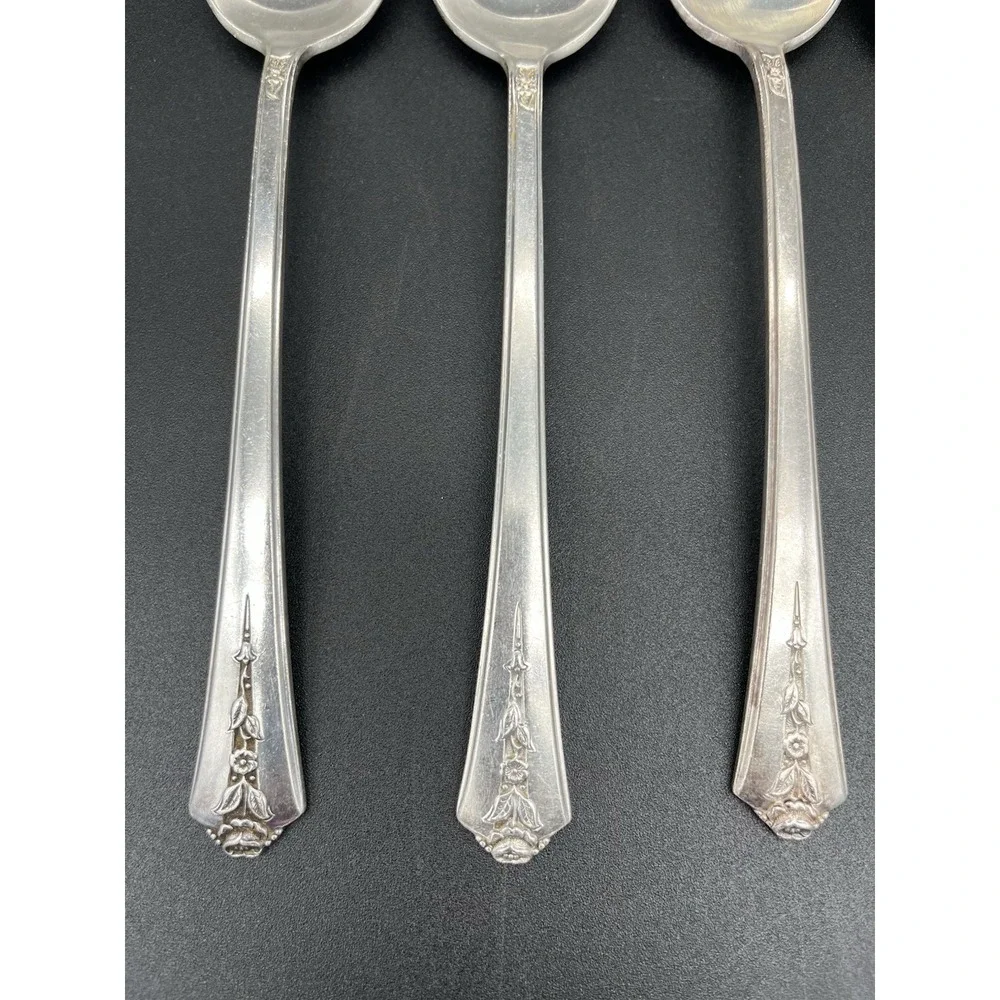 Silver Plate Tablespoon/Serving Spoon Set Of 6 Spring Garden International